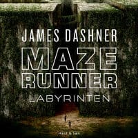 MazeRunner